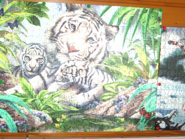 beli tiger z mladički,3D puzzli - 