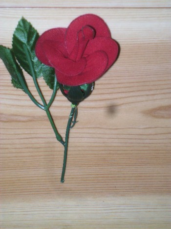 rdeča vrtnica - 