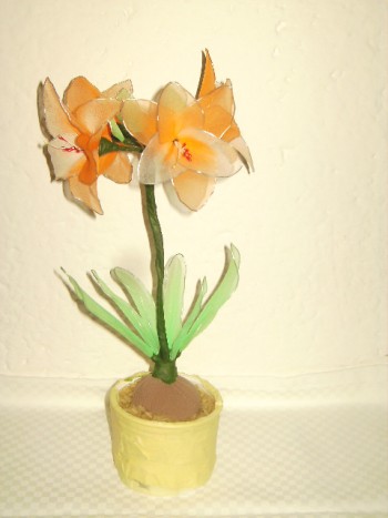 mini amarilis,belo oranžen - 