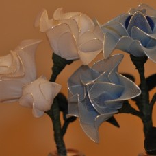 Modro bele vrtnice