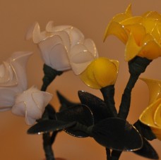 Rumeno bela vrtnica