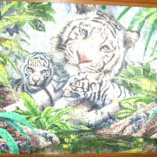 beli  tiger z  mladički,3D puzzli