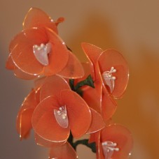 Oranžna orhideja iz najlona