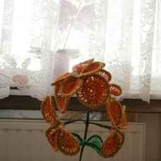 kvačkana rožica