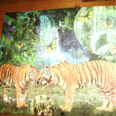 tigra pod slapom,3D puzzli