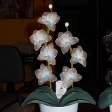 Orhideje iz najlonk