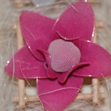 Viola vrtnica