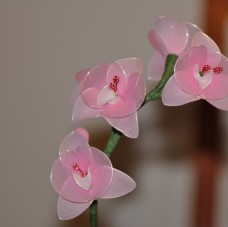 Orhideja iz najlona