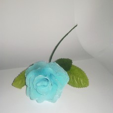 modra vrtnica