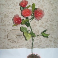 rdeče  vrtnice