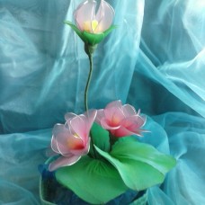 Lotosov cvet roza2