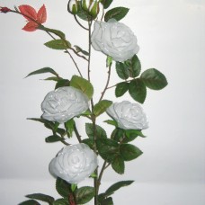 bele vrtnice