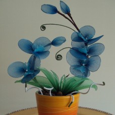 Orhideja modra