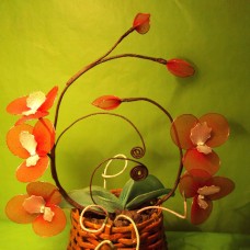Orhideja rdeča v košarici