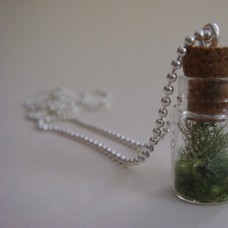 Stekleničke na ogrlici - iz narave