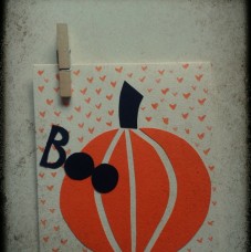 Pumpkin Boo (: Halloween is coming.