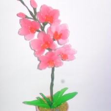 Roza  orhideja