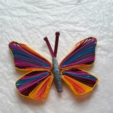 Mavrica ujeta v metulju