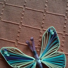 Belo-moder metulj
