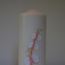 orhideja na svečki