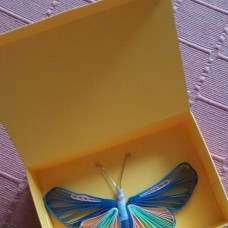 Majhen metulj v rumeni škatljici