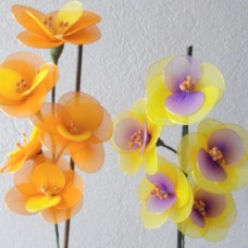 Orhideje po moje iz odsluženih nogovic