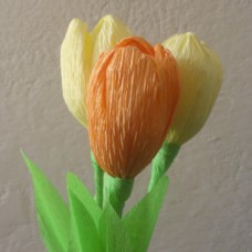 Tulipani s sladkim presenečenjem