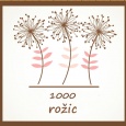 1000 rožic